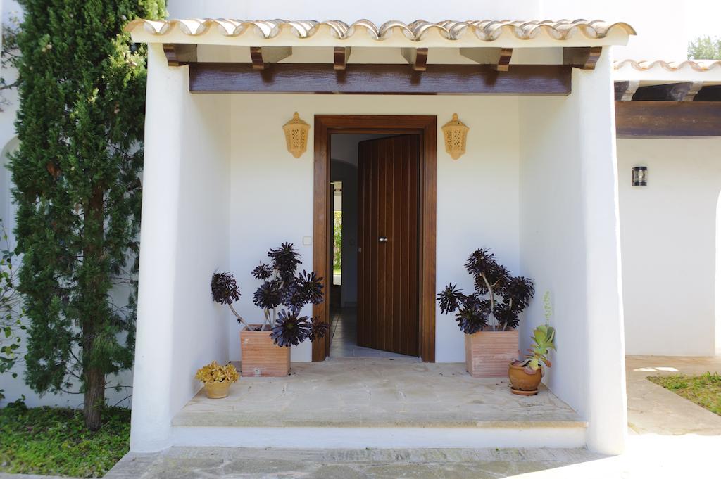 Acebuche Cala d'Or (Mallorca)